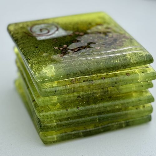 Citrus Coaster (Square)