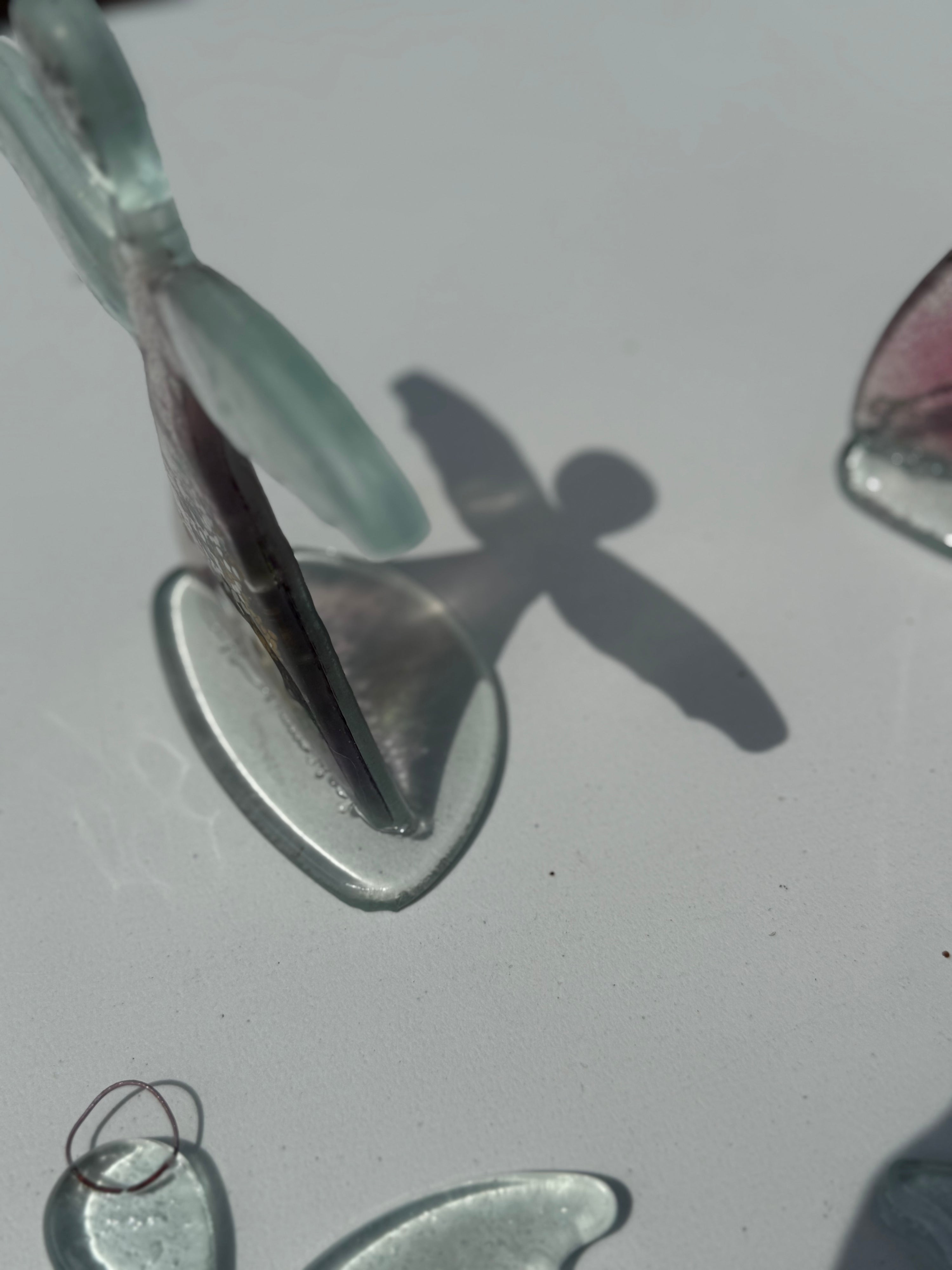 Angel - Tricolore Mauve