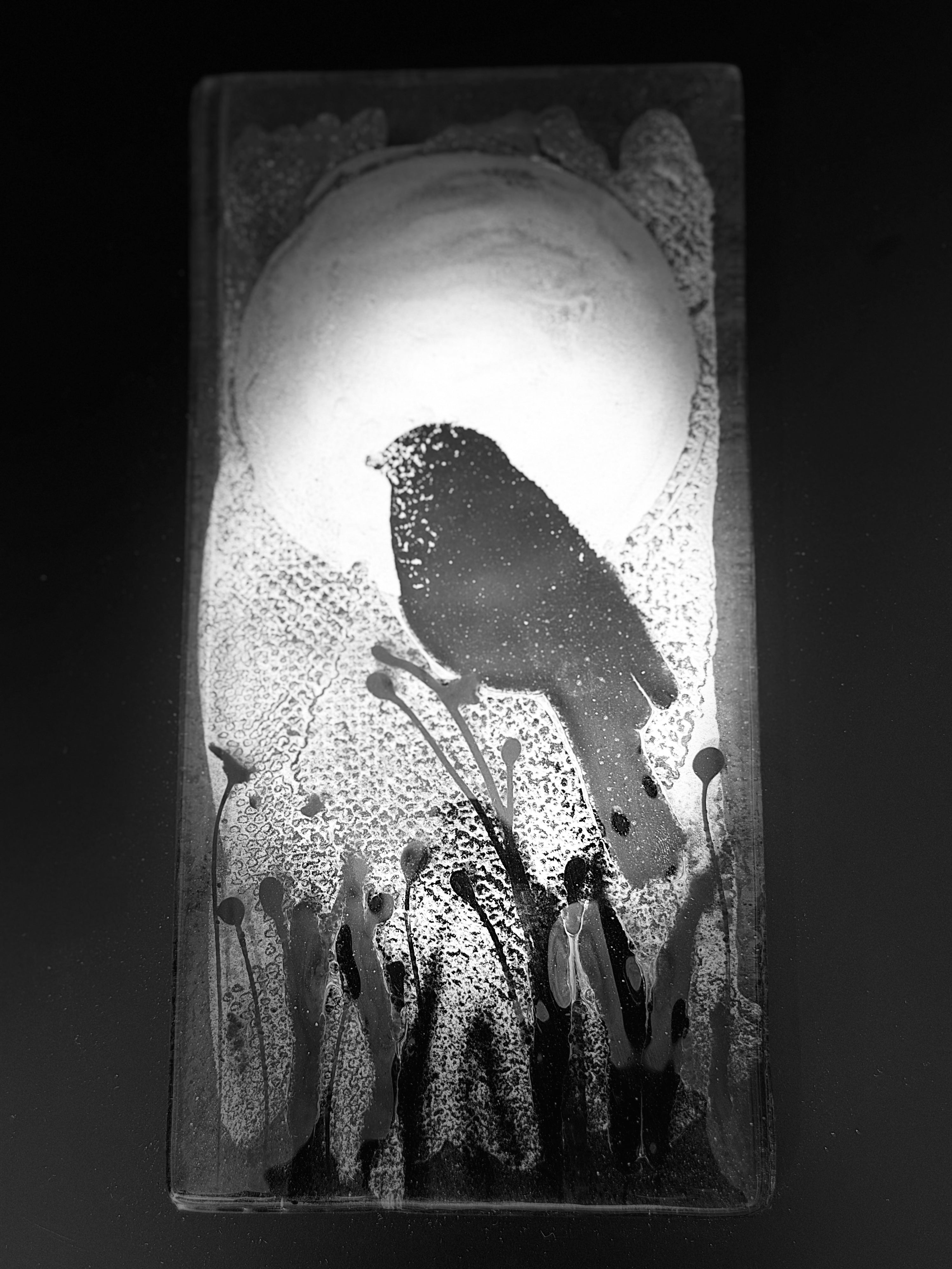 Bird & Moon - Fused Glass Wall Art with Black Panel