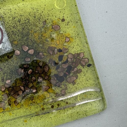 Citrus Coaster (Square)