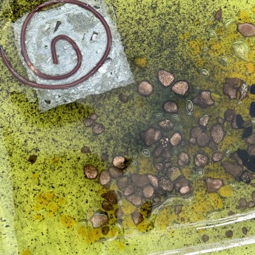 Citrus Coaster (Square)