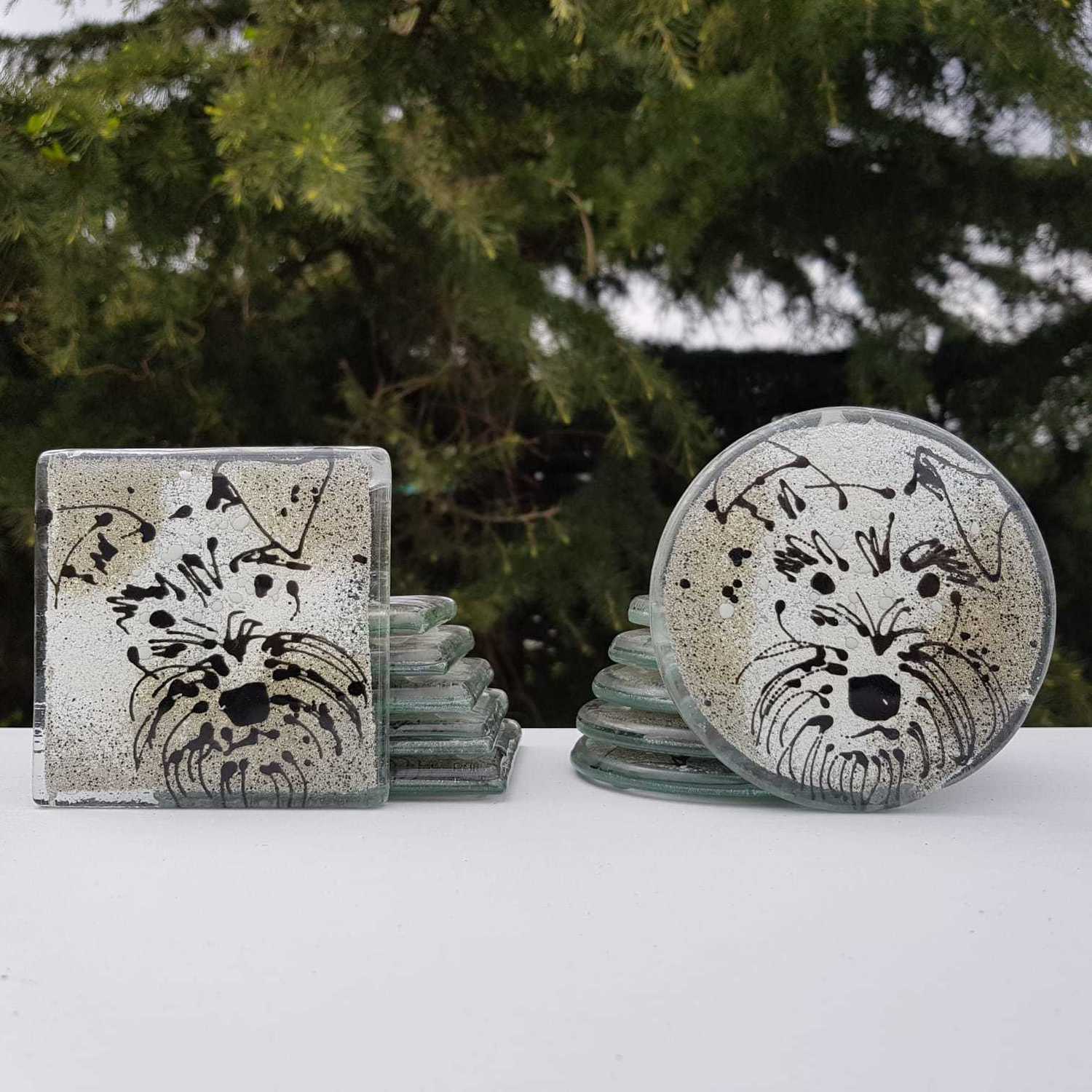 Miniature Schnauzer - Square Coasters