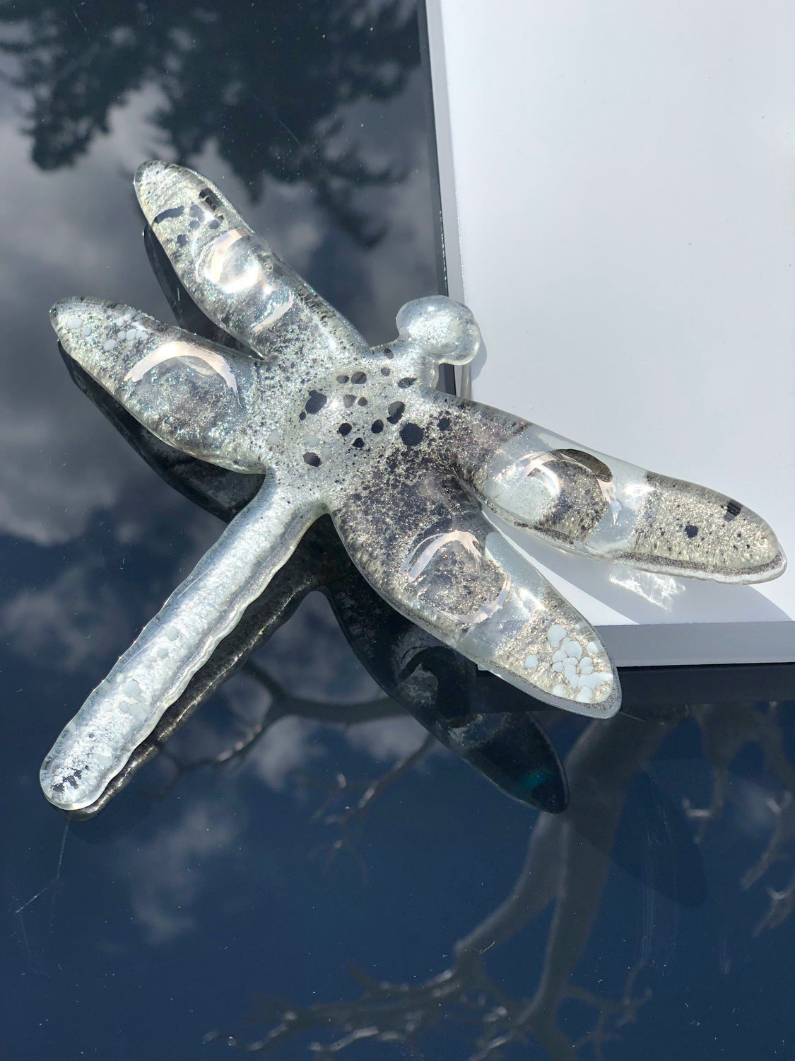 Dragonfly - Platinum