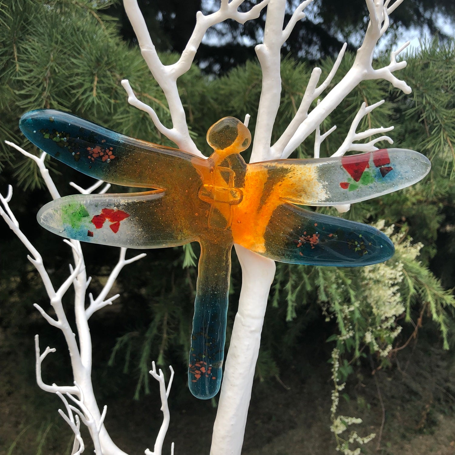Dragonfly - Niovi