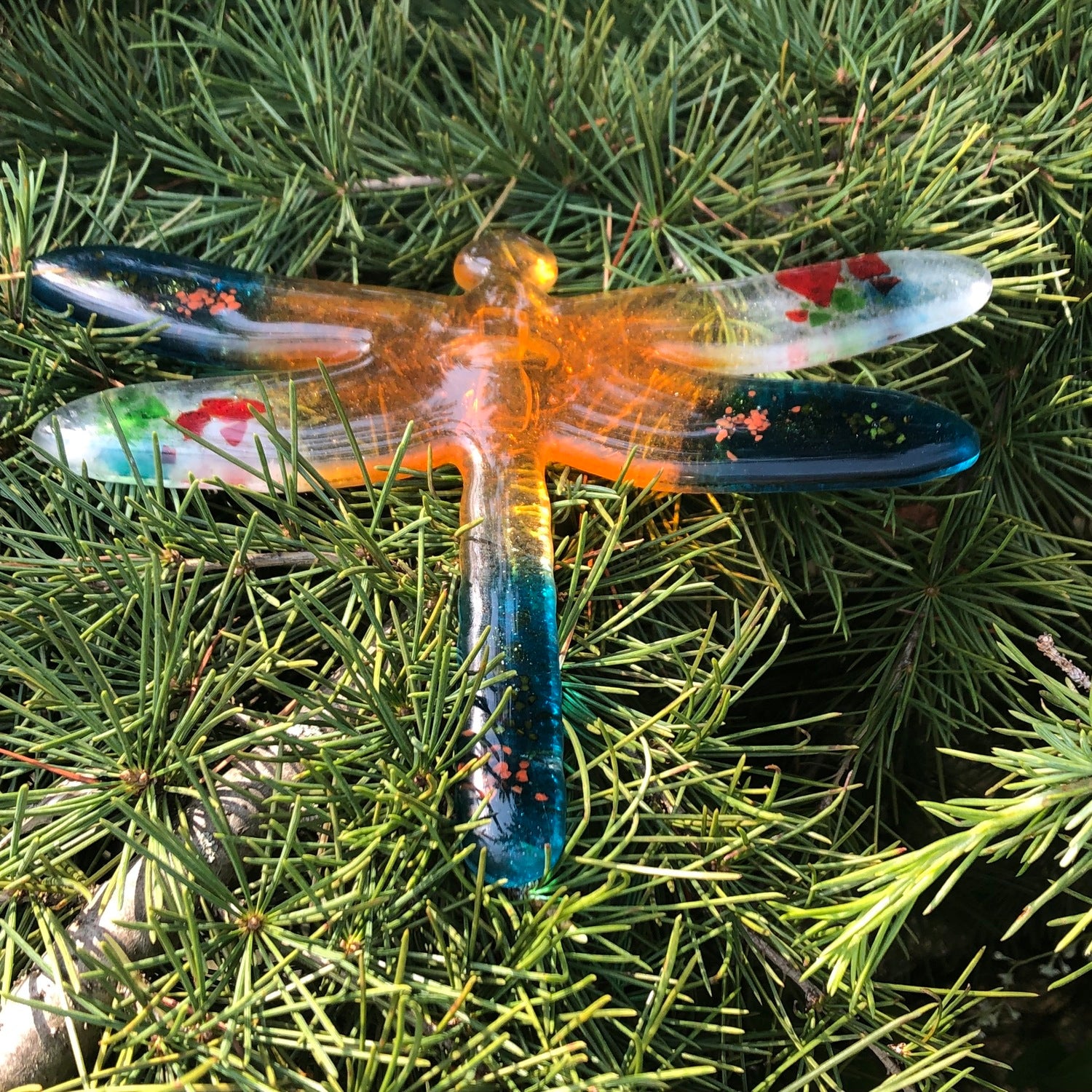 Dragonfly - Niovi