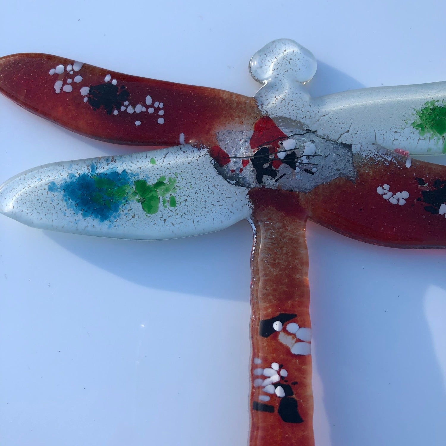 Dragonfly - Rhea